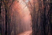 巴塞罗那vs毕尔巴鄂竞技-开云娱乐官网